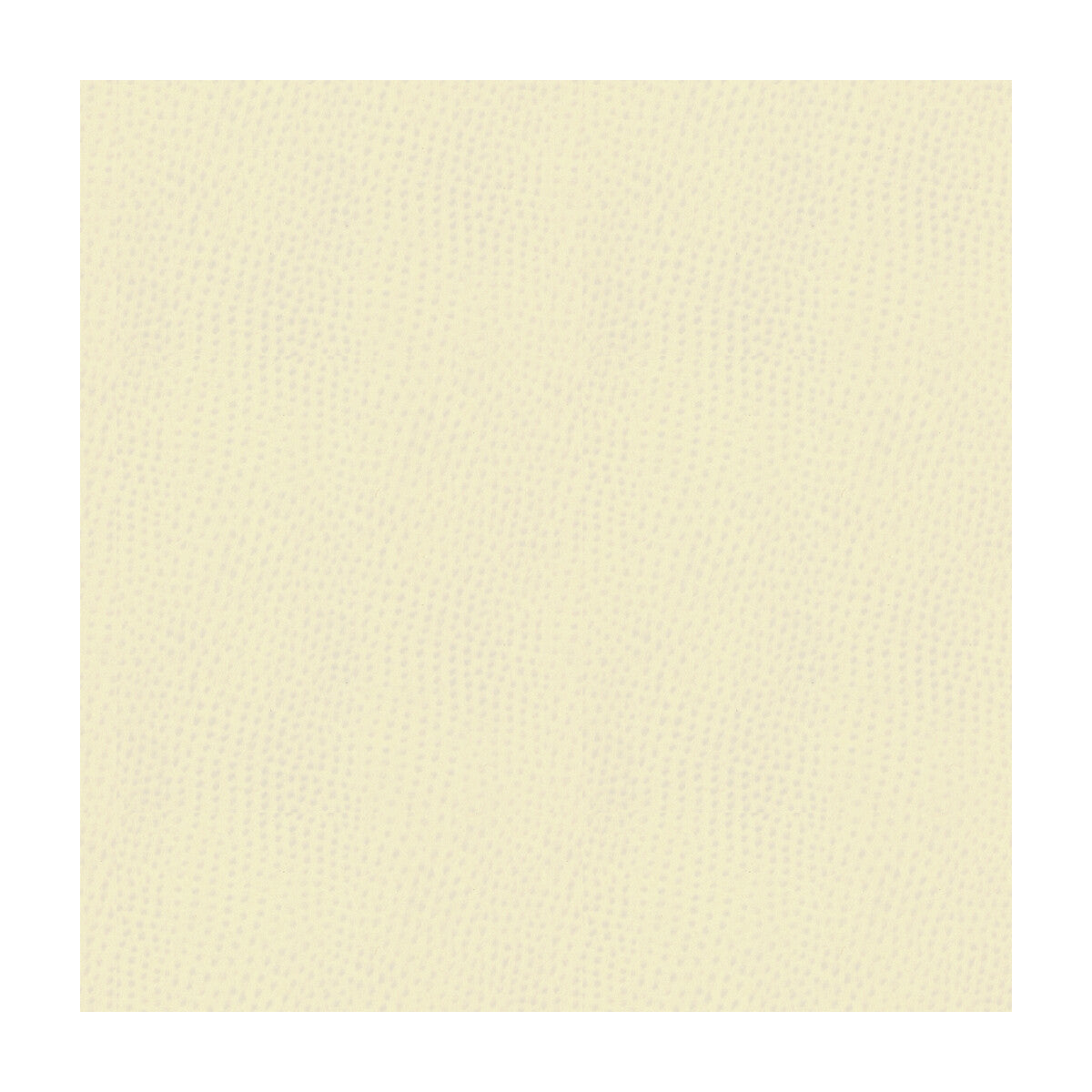 Kravet Contract-Belus-1