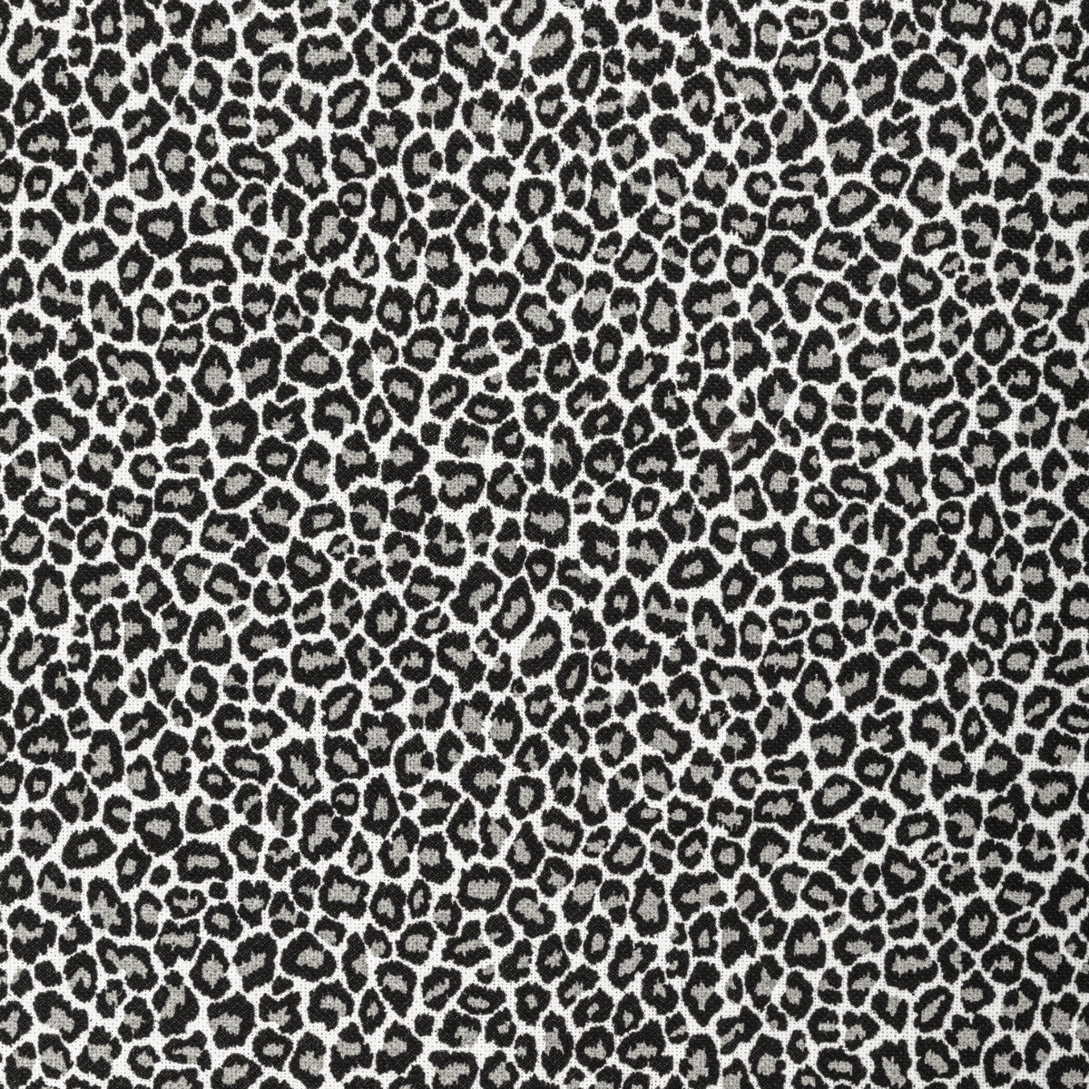 Kravet Basics-Bengali-821