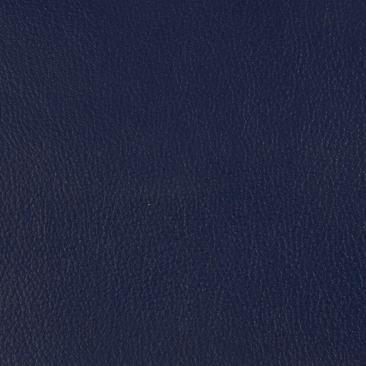 Kravet Contract-Berta-50