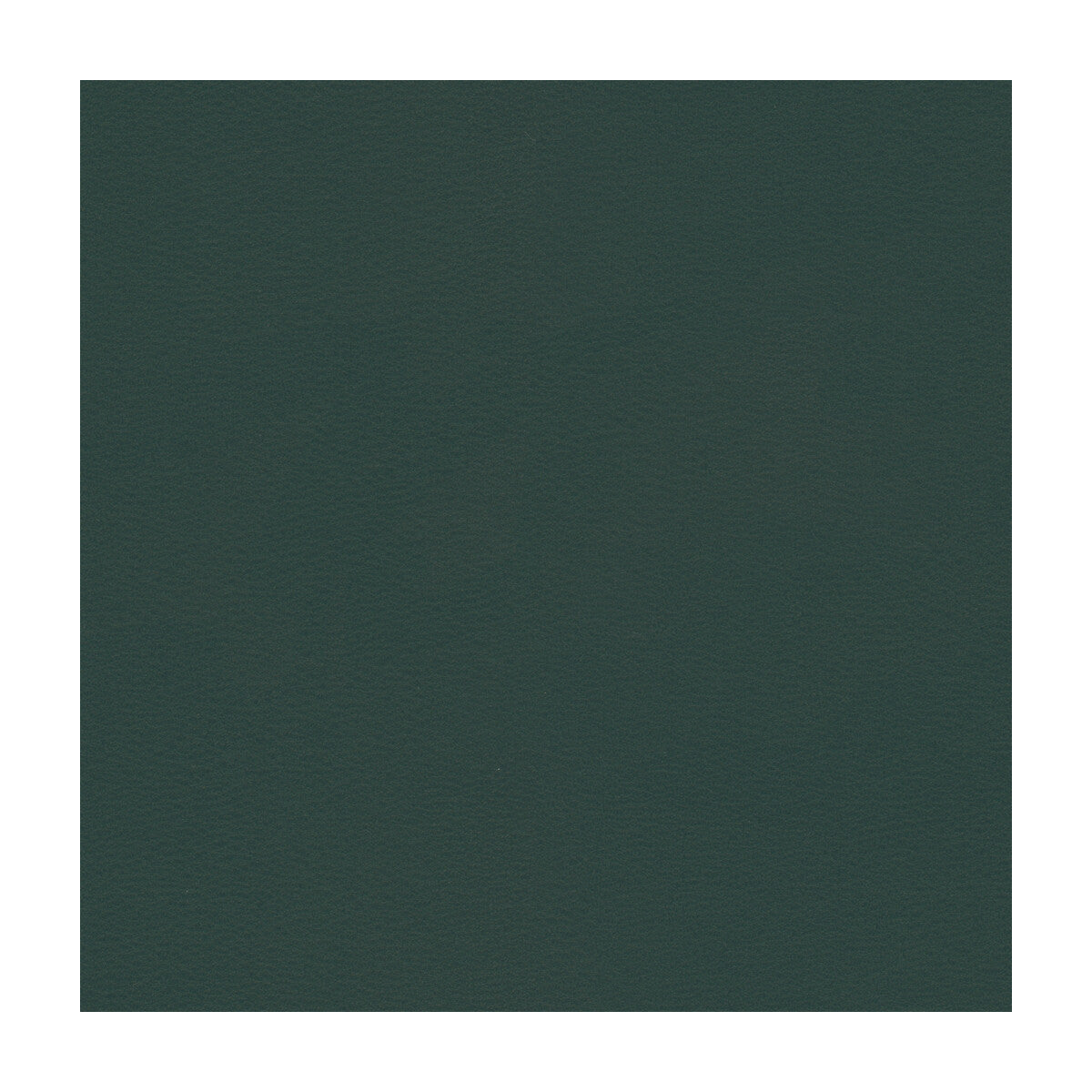 Kravet Contract-Berta-5