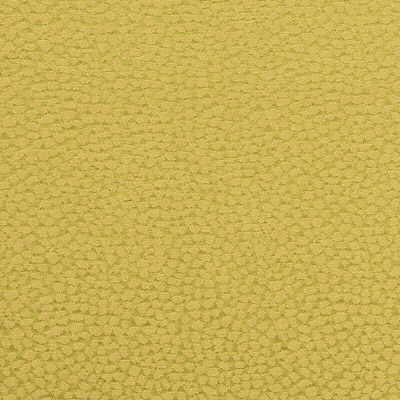 Pebbles-Fern