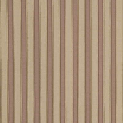Pleated Stripe-Lilac/Cream
