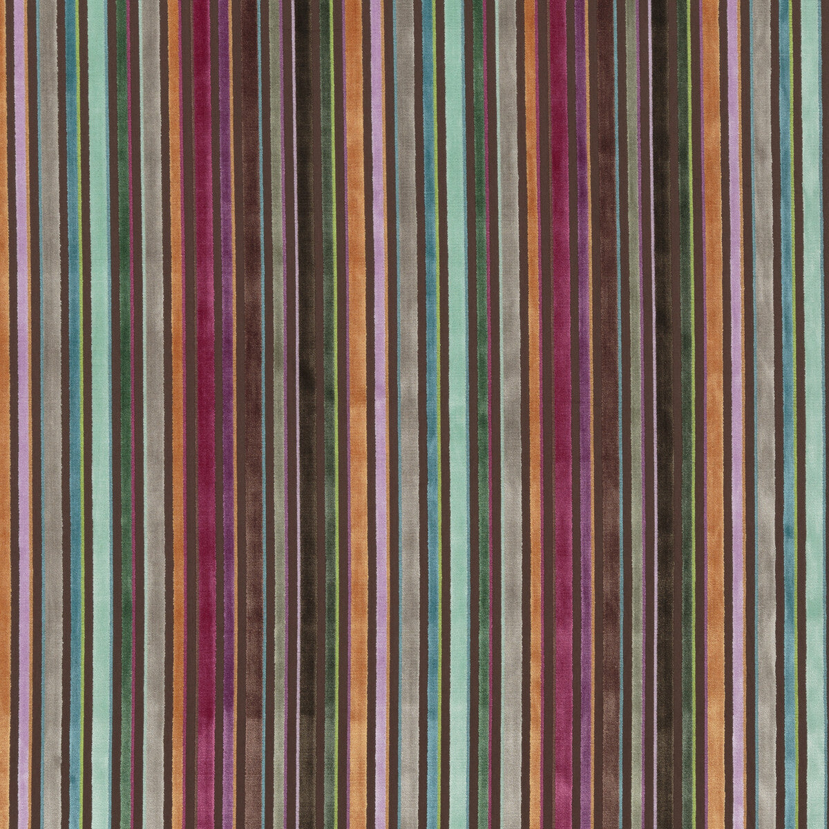 Cardinal Stripe-Jewel