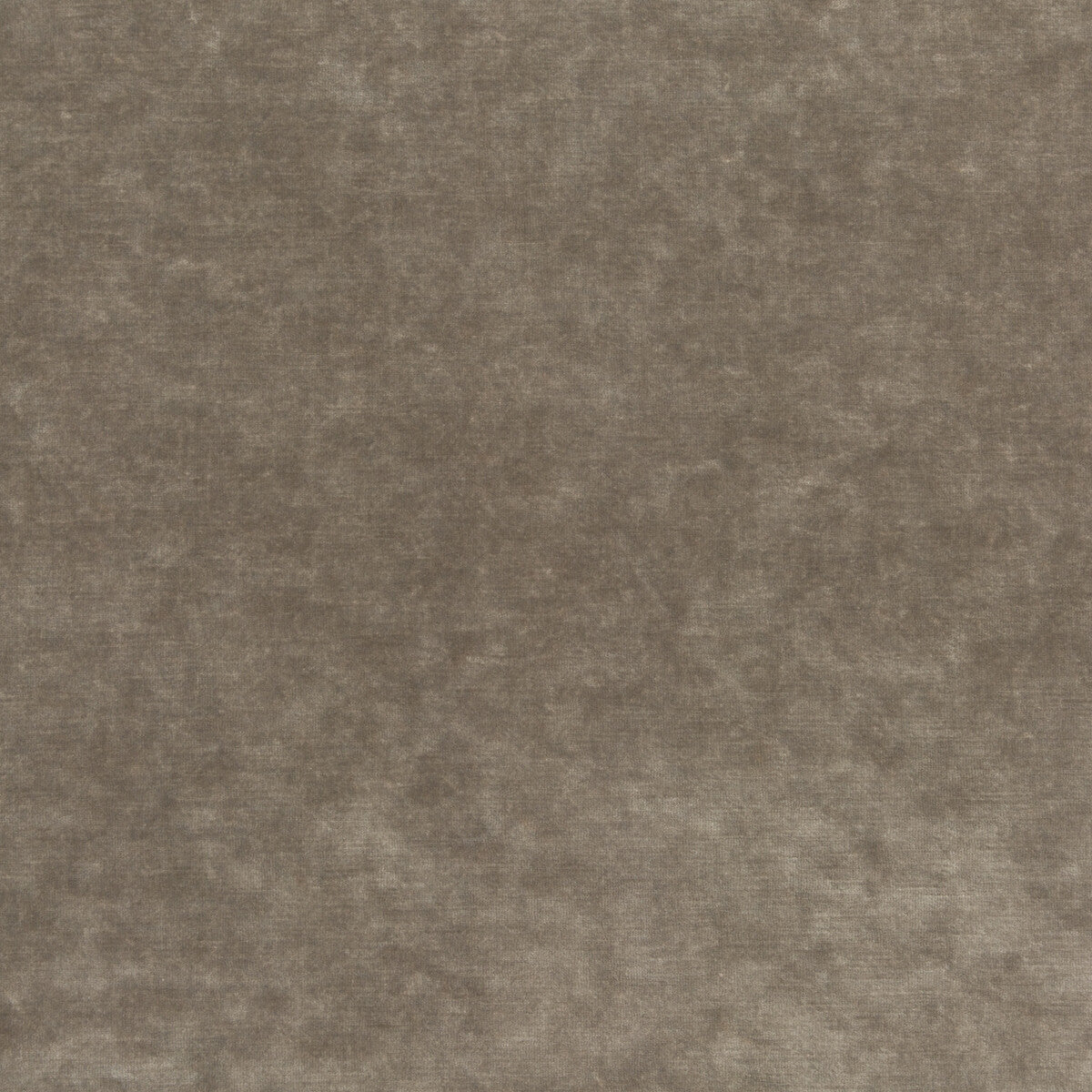 King's Velvet-Mink
