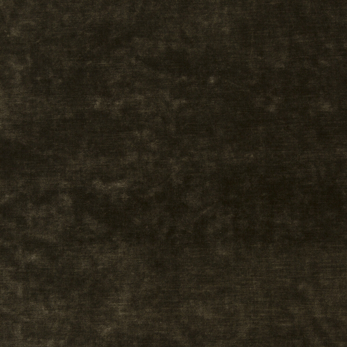 King's Velvet-Bronze