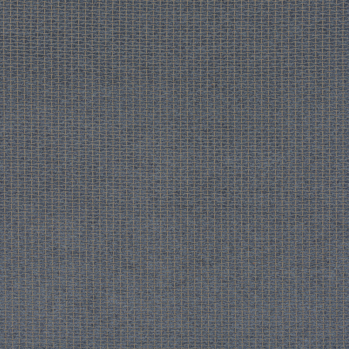 Vortex-Indigo