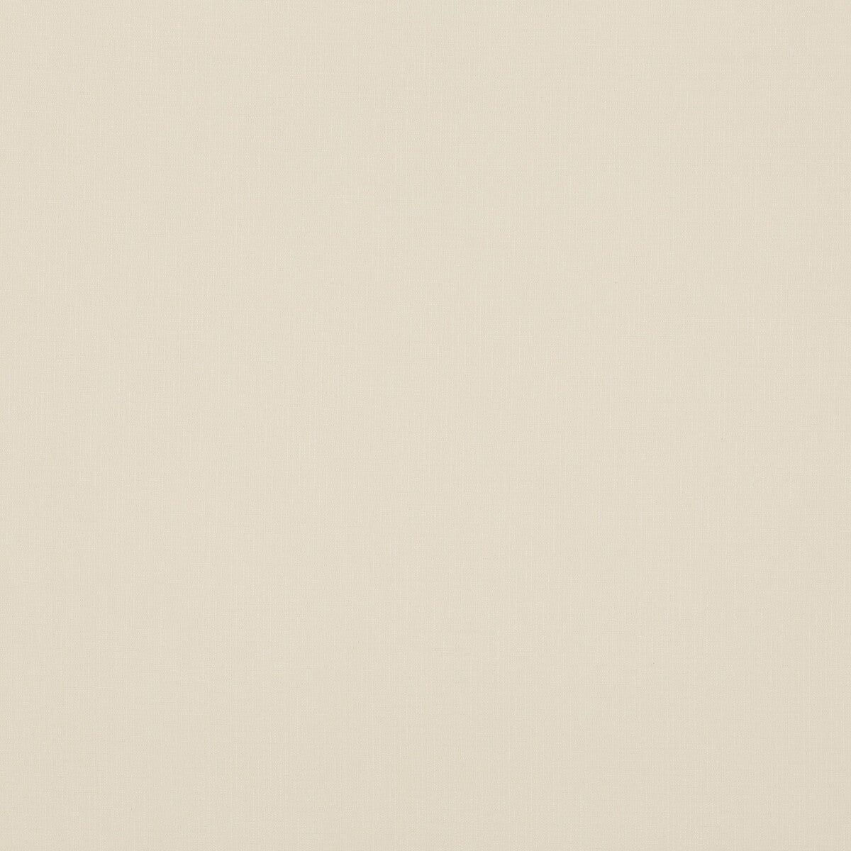 Blizzard-Ivory