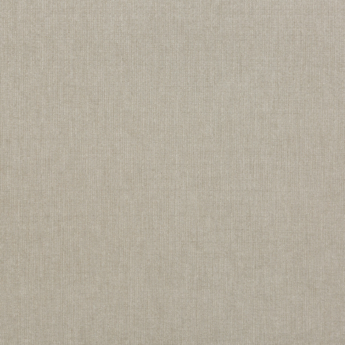 Blizzard-Silver