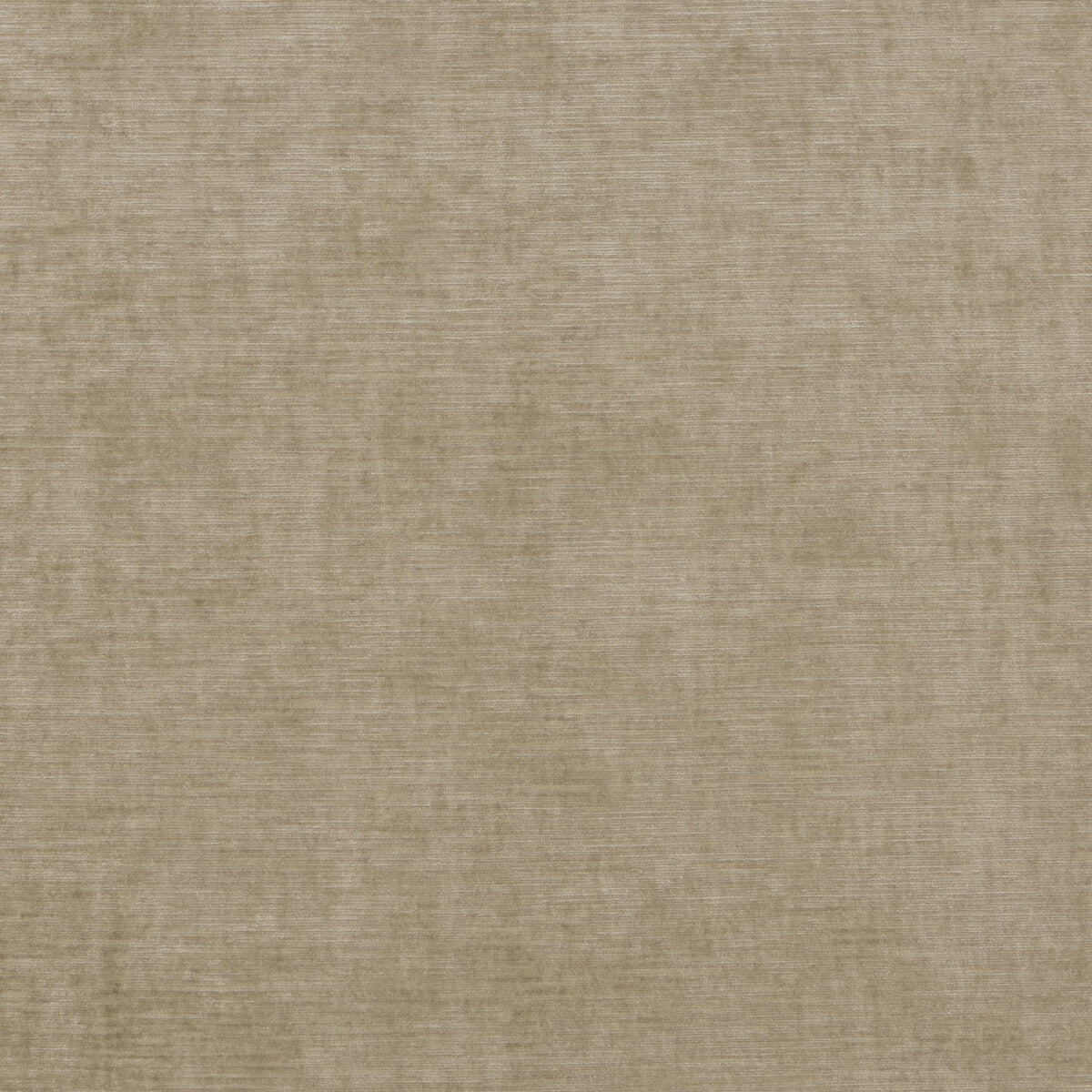 Essential Velvet-Oatmeal