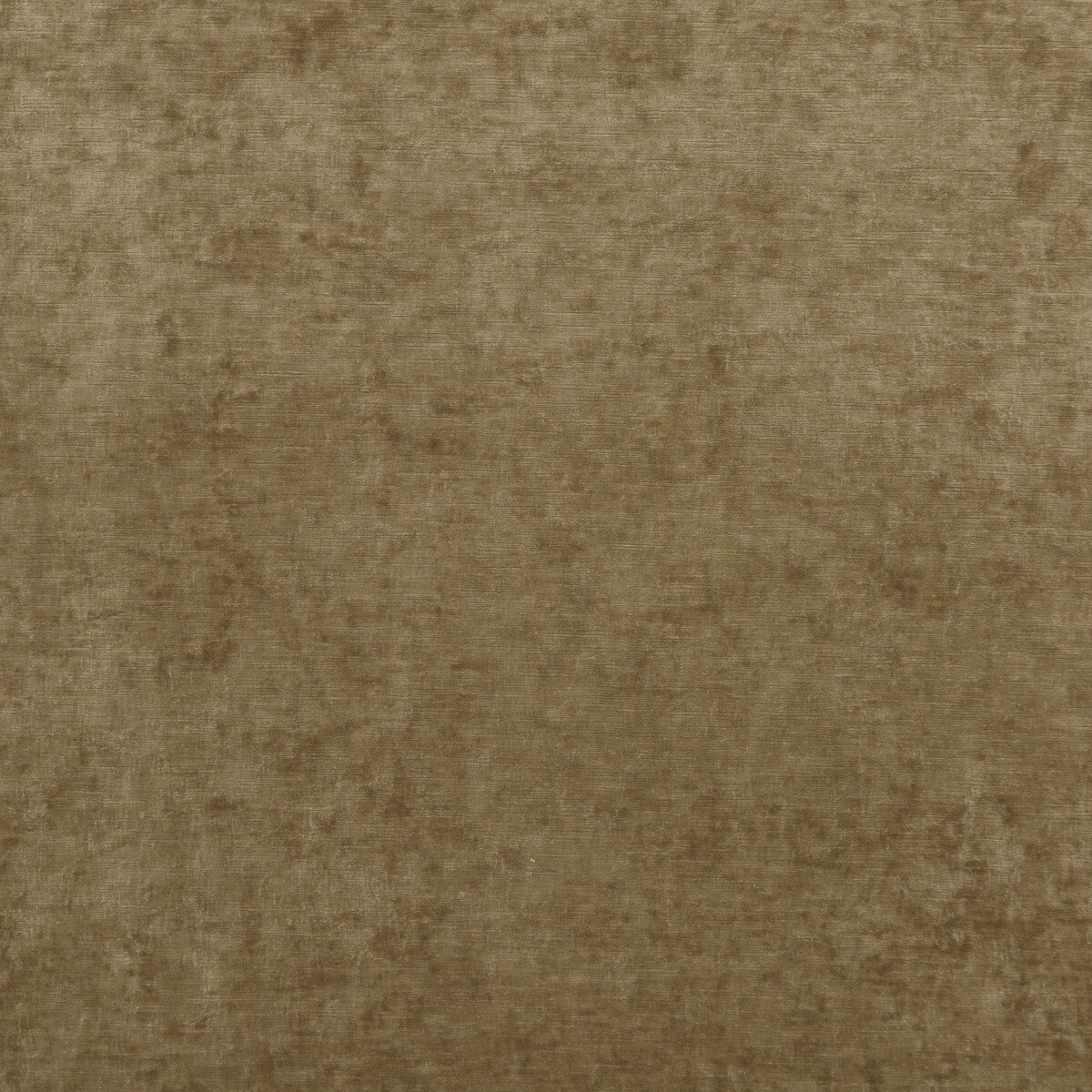Vintage Velvet-Camel