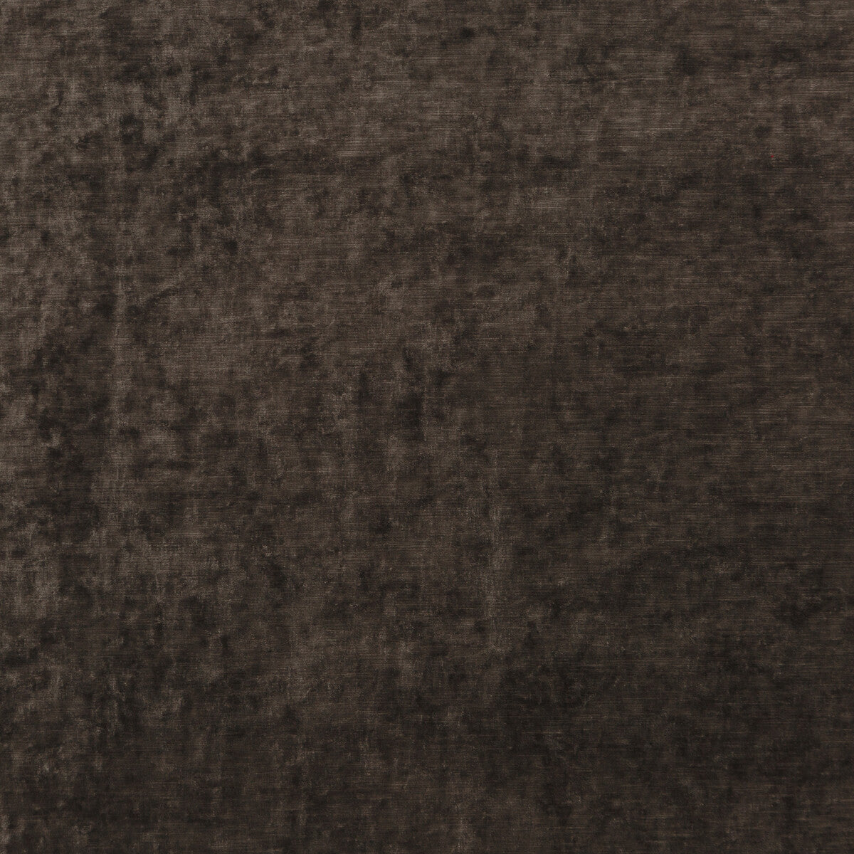 Vintage Velvet-Mole