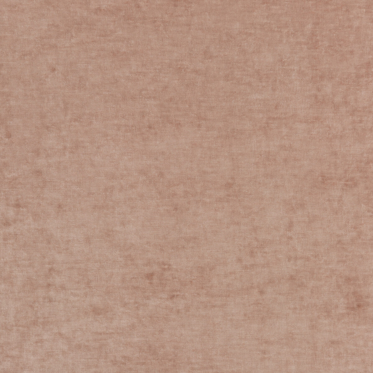 Vintage Velvet-Blush