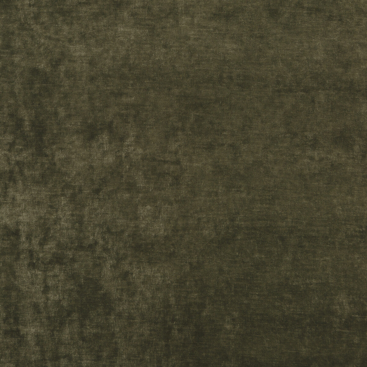 Vintage Velvet-Olive
