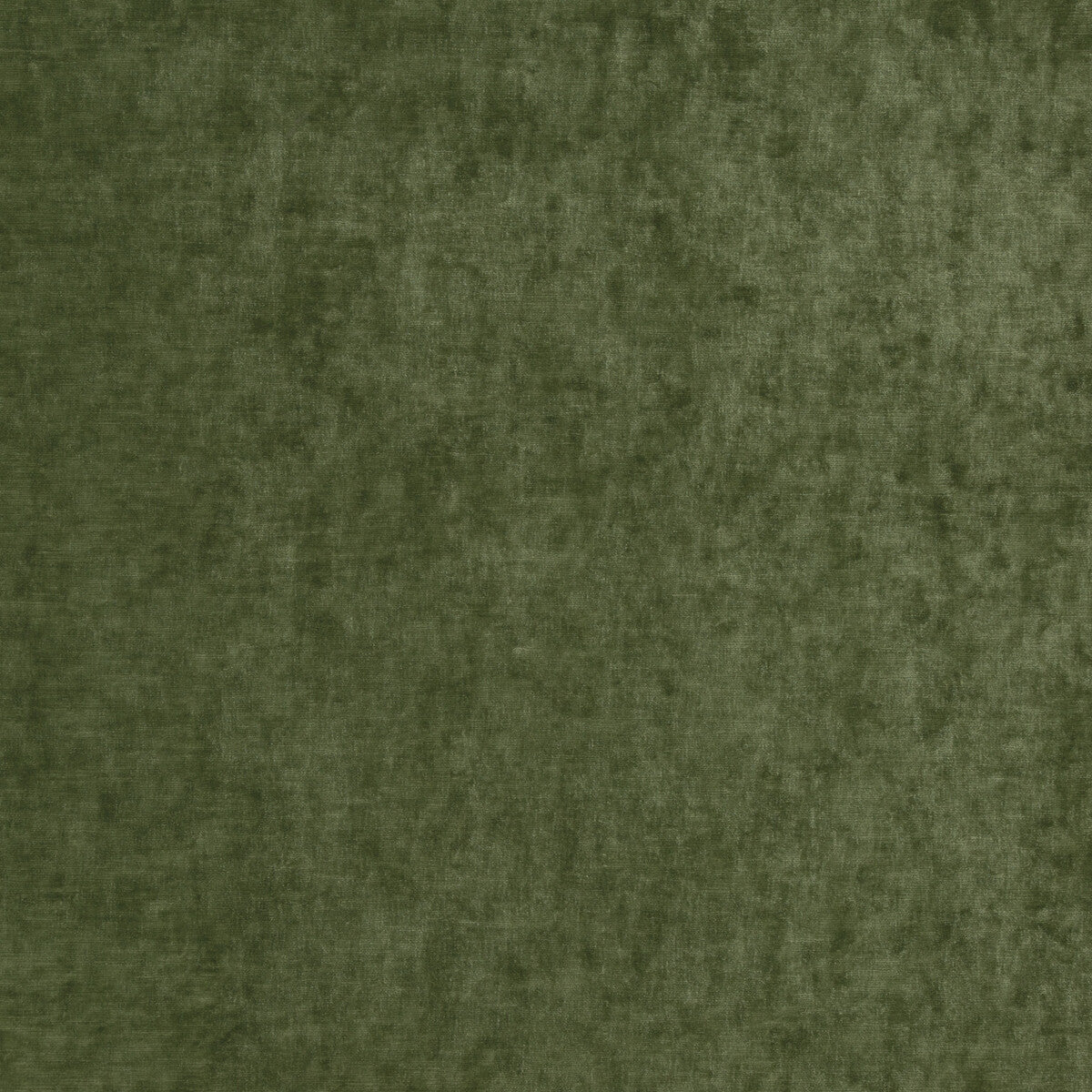 Vintage Velvet-Fern