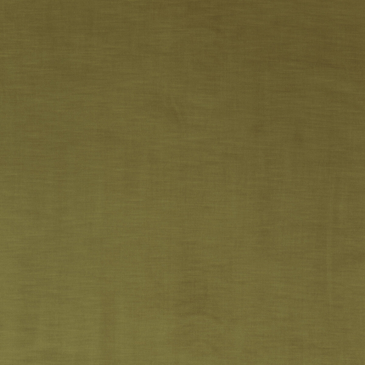 Coniston Velvet-Ochre