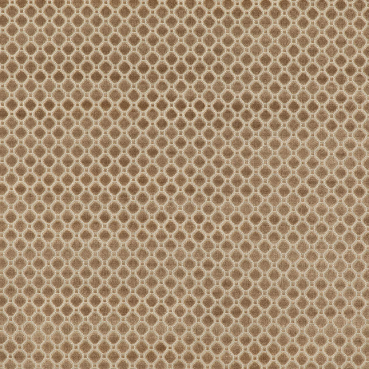 Indus Velvet-Oyster