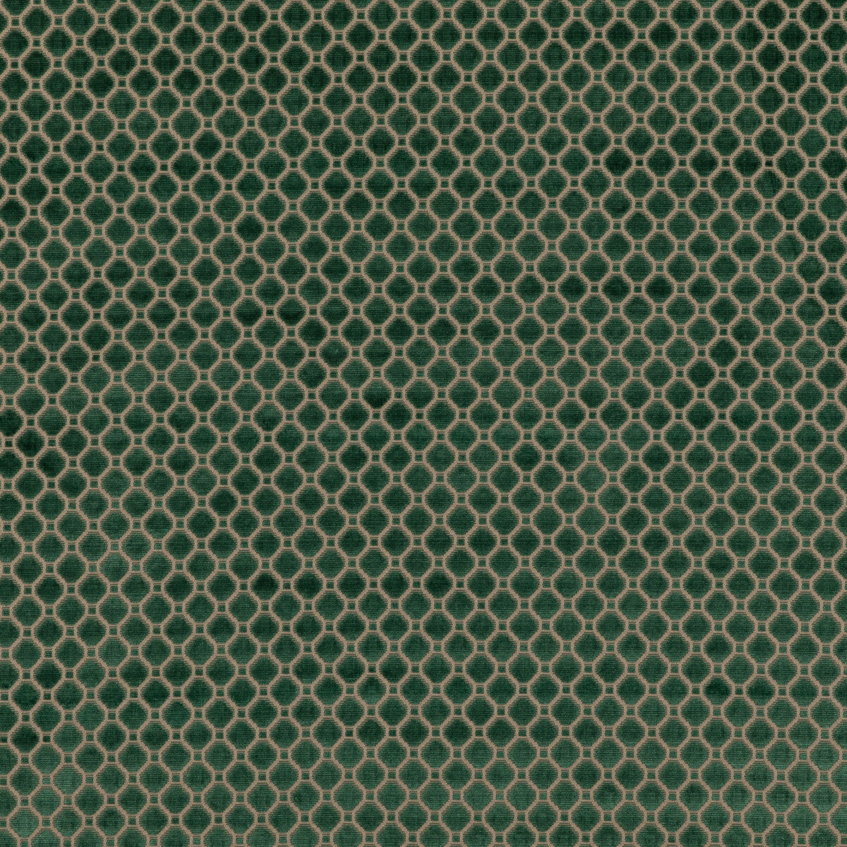 Indus Velvet-Emerald