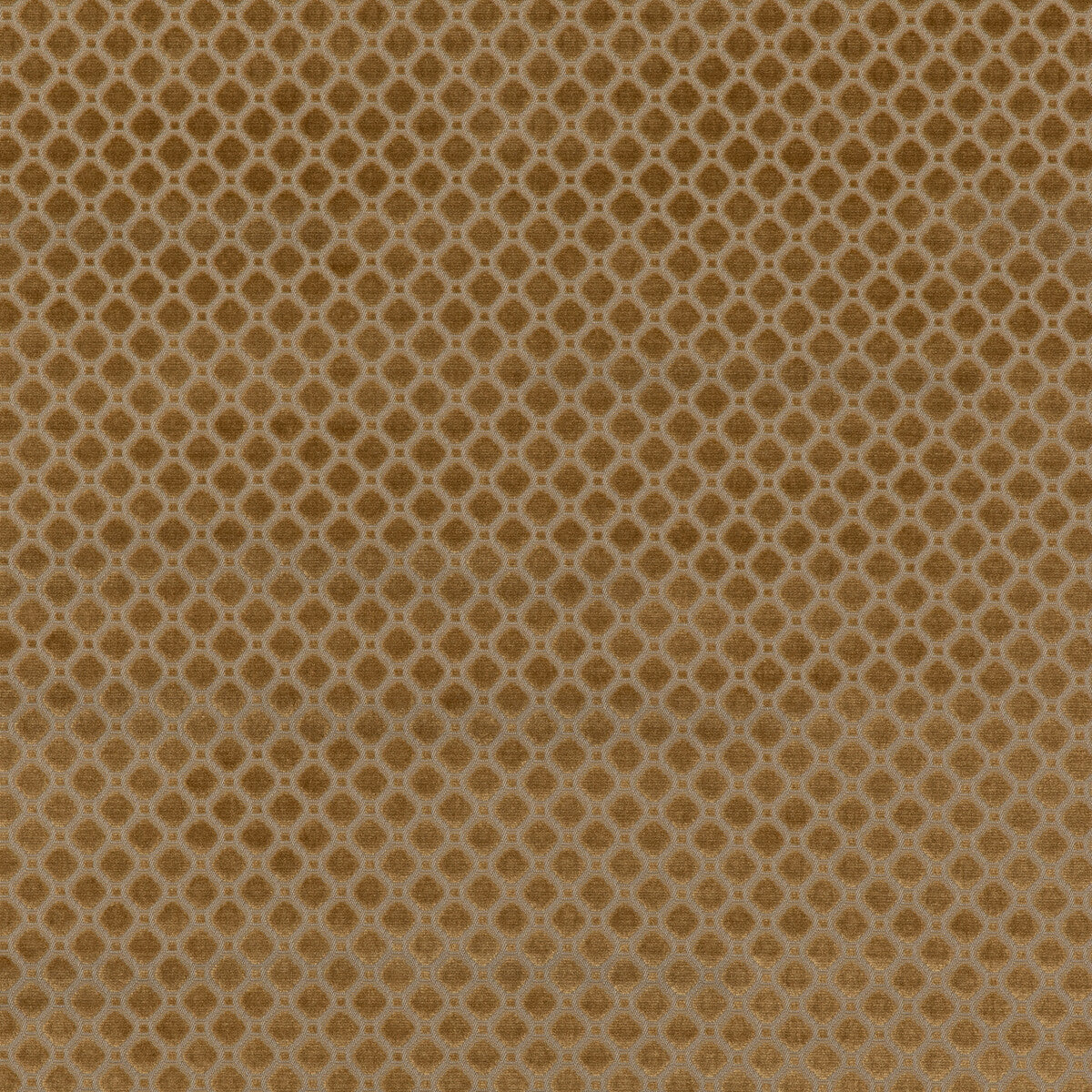 Indus Velvet-Bronze