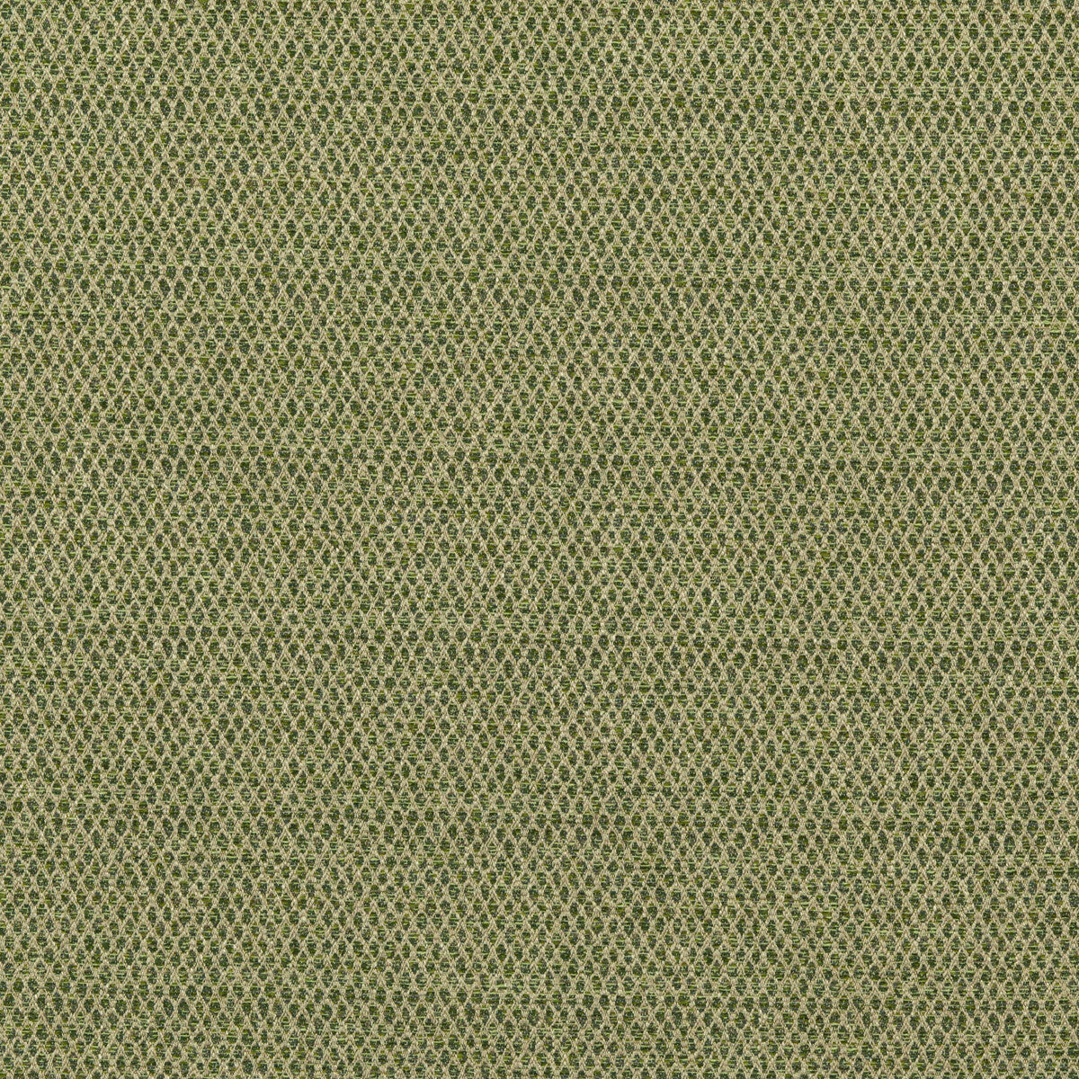 Pednor-Green