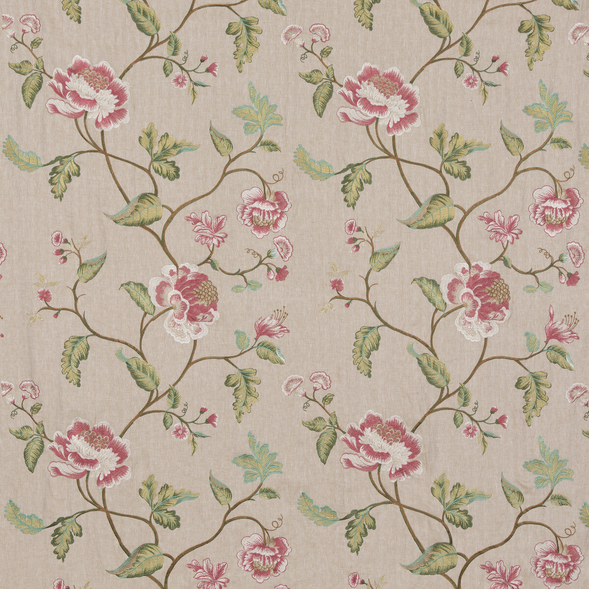 Lavenham-Rose