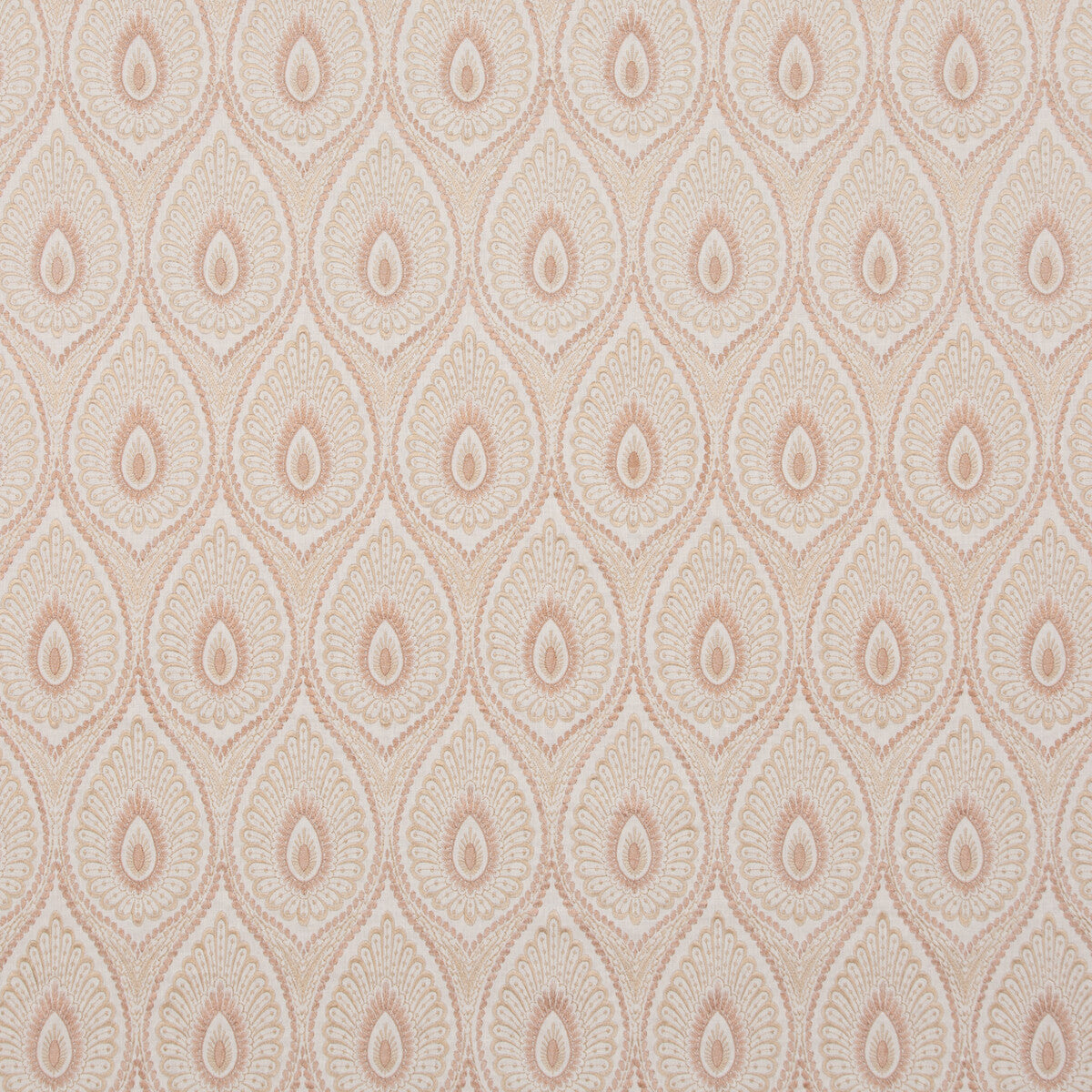 Ashmore-Shell