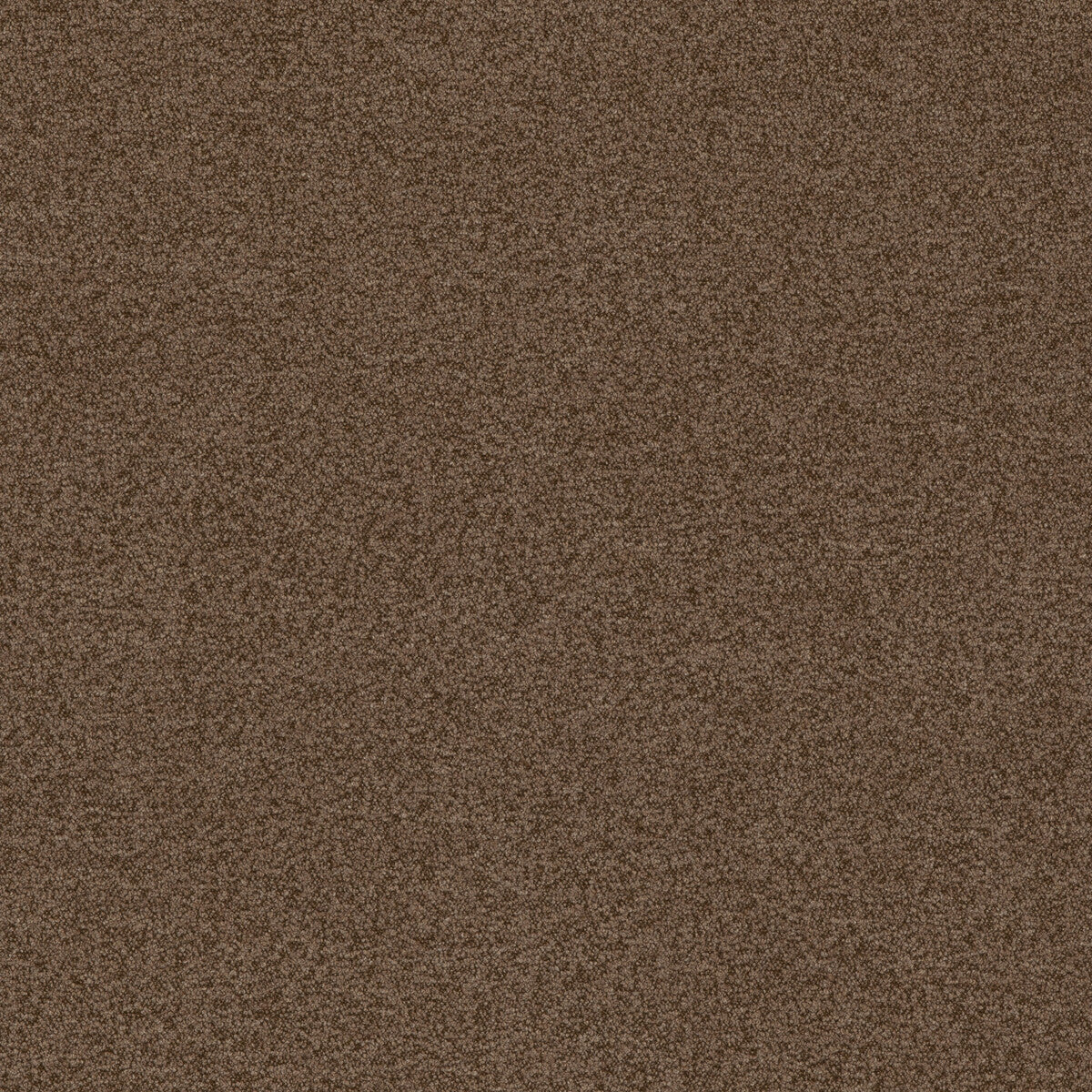 Baker House Boucle-Nutmeg