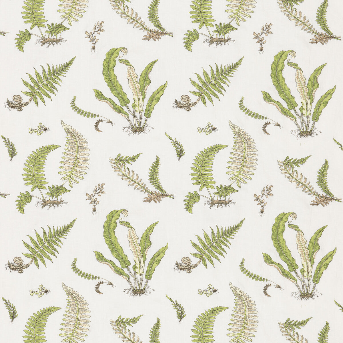 Ferns Embroidery-Green