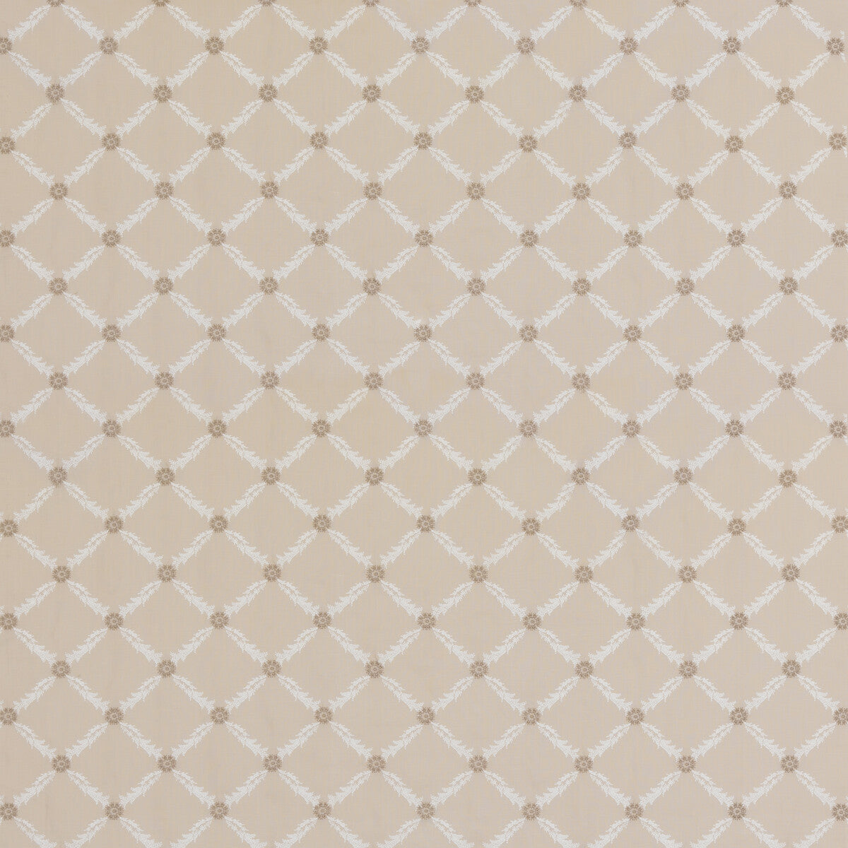 Ashbury-Parchment