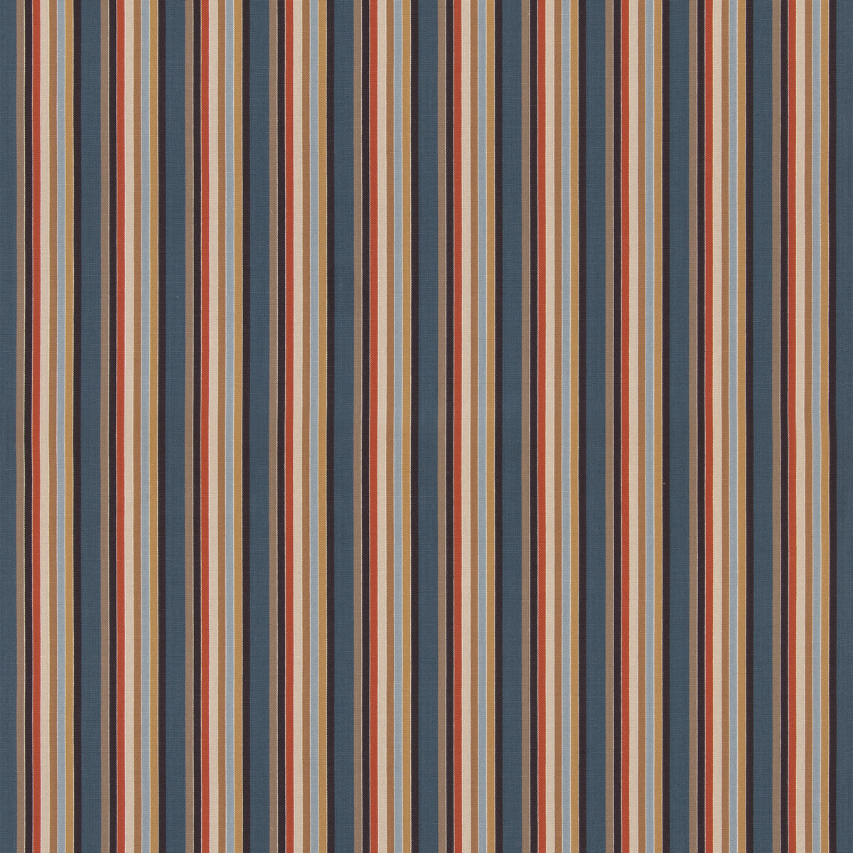 Wild One-Indigo/Cocoa