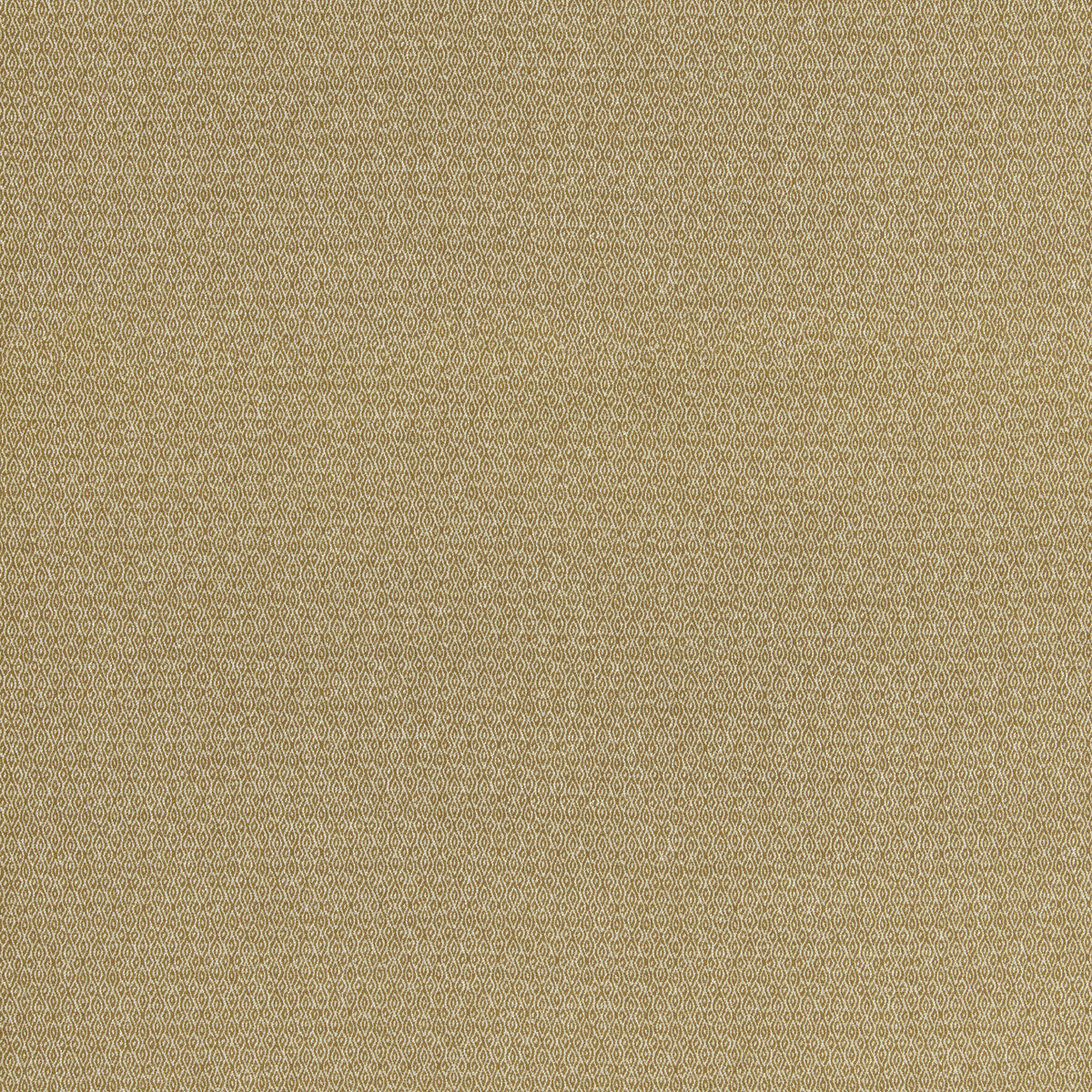 Morton-Ochre