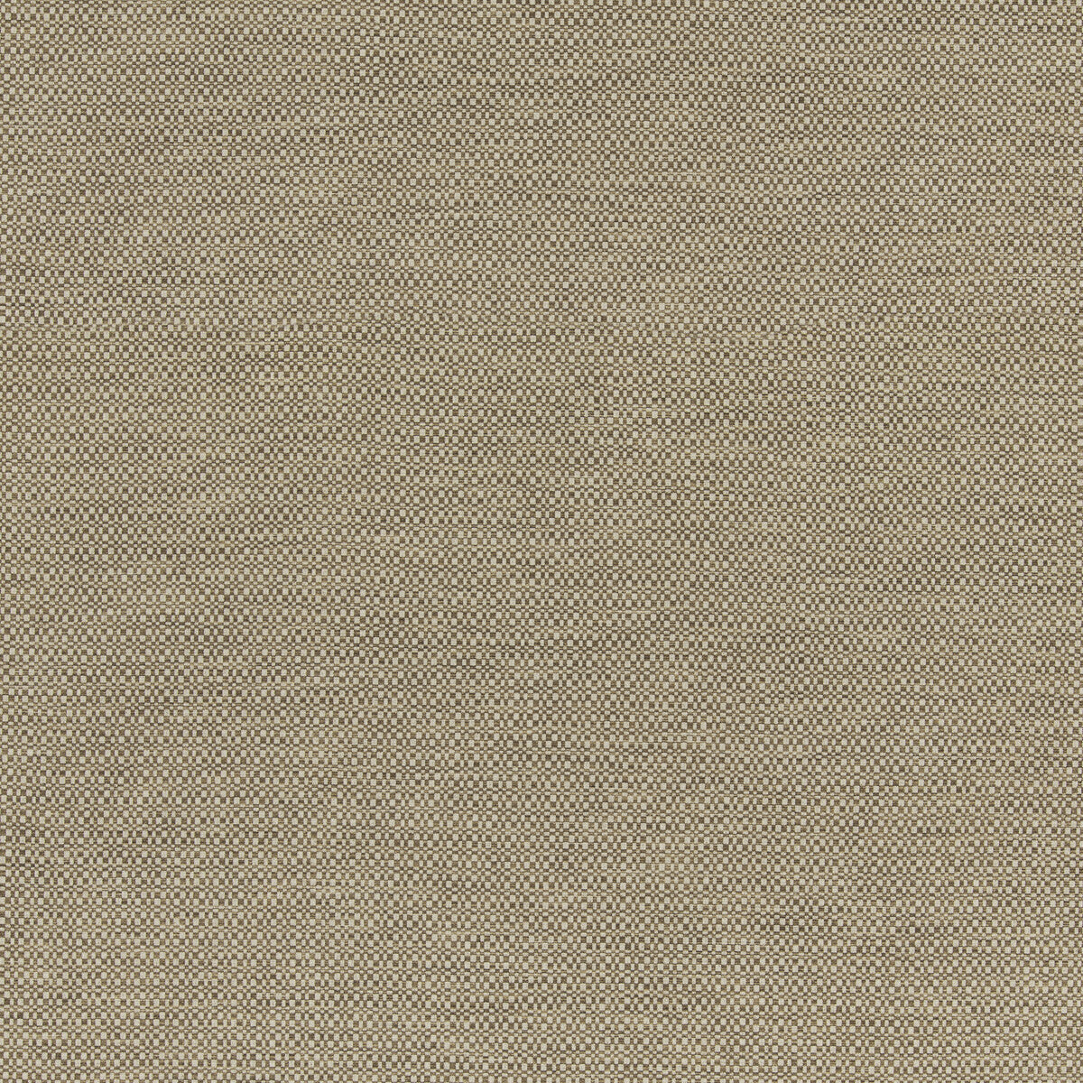Hopton-Nutmeg