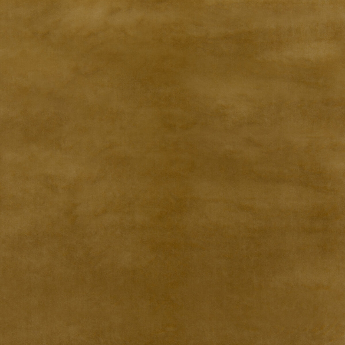 Court Velvet-Soft Gold