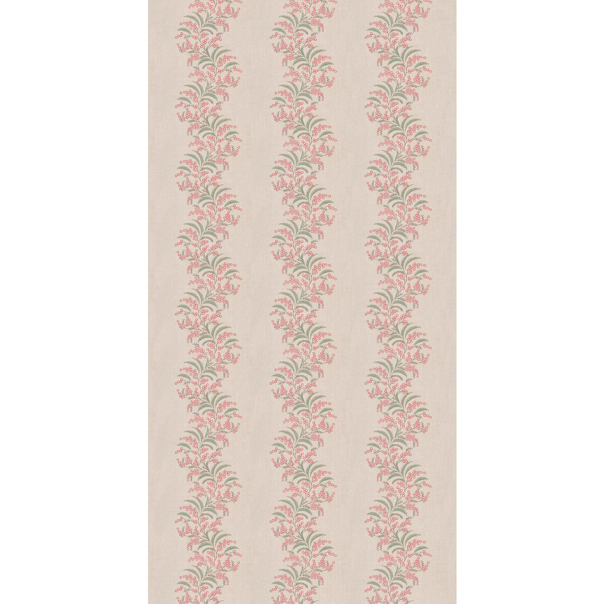 Sea Aster-Soft Red