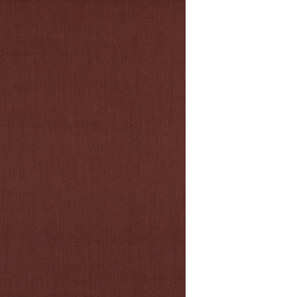 Cubby-Chocolate