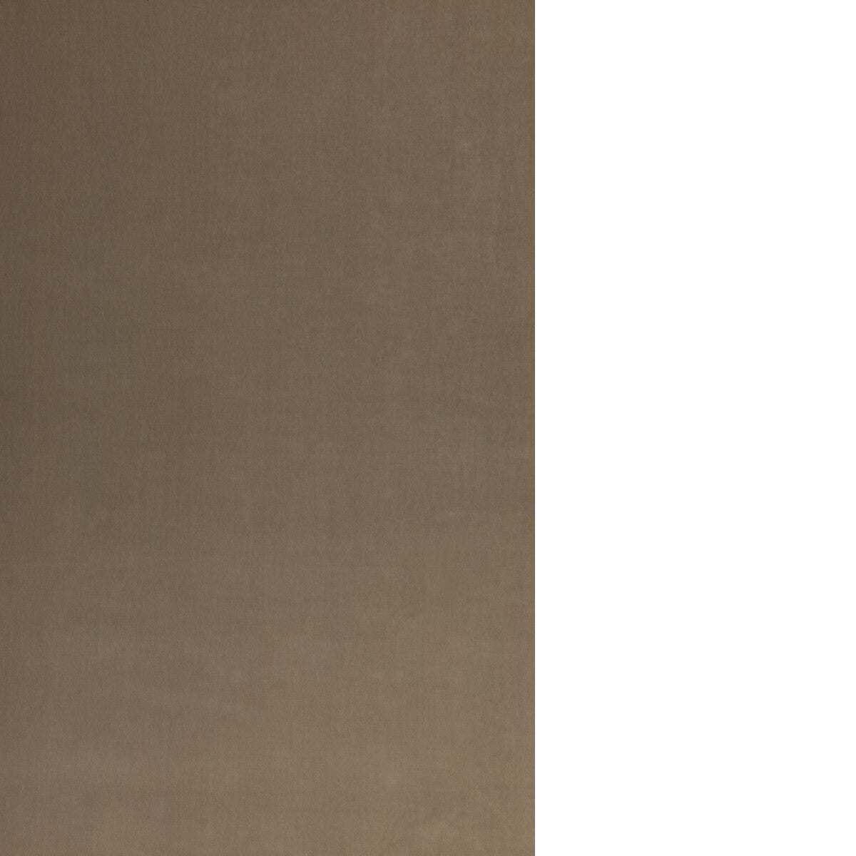 Tetbury Velvet-Dove