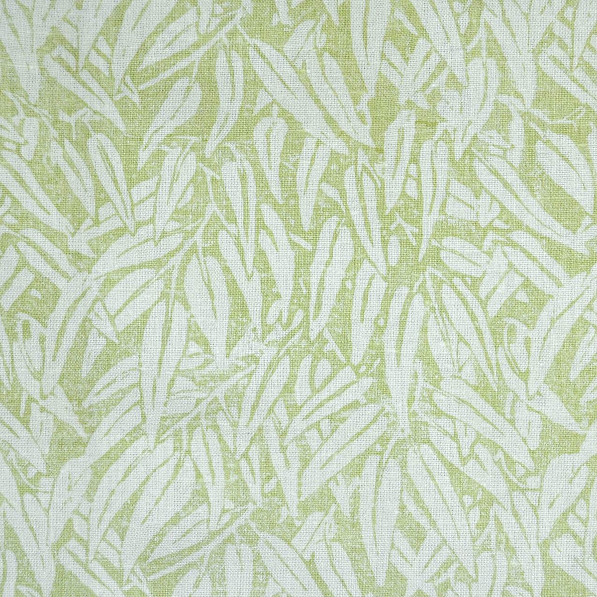 Willow-Lime