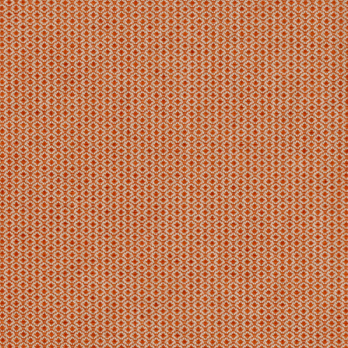 Cosgrove-Tangerine