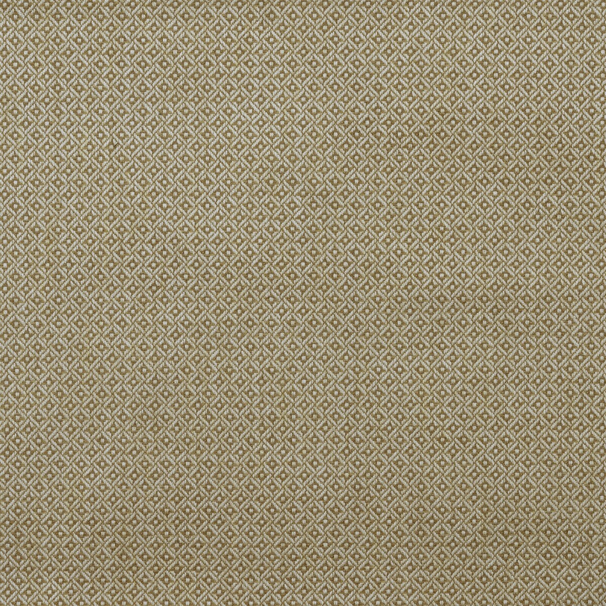 Cavendish-Wheat
