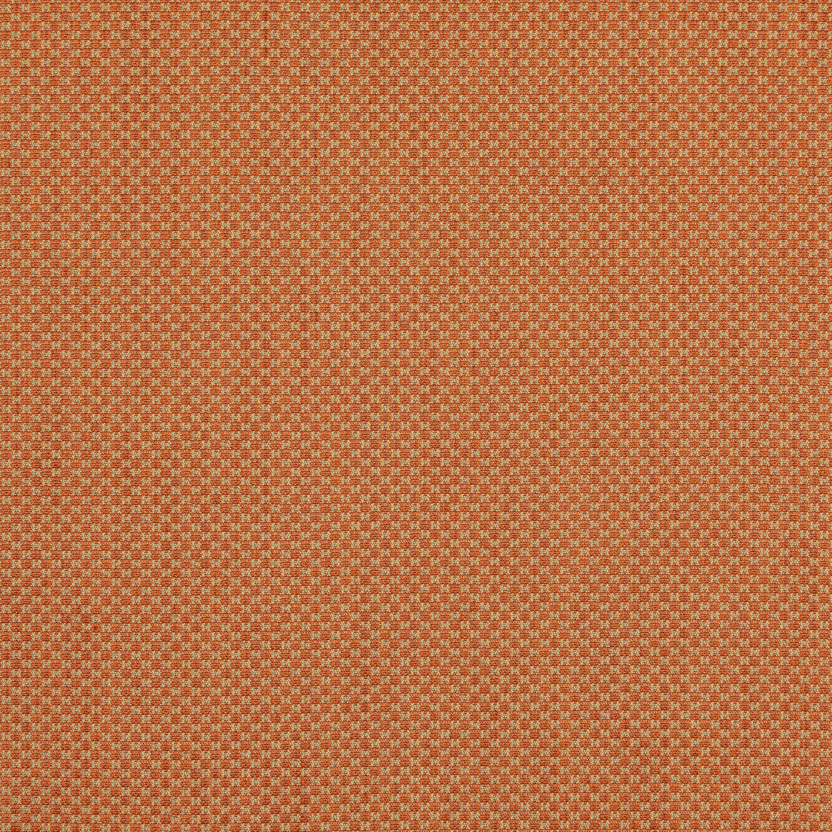 Devon-Tangerine