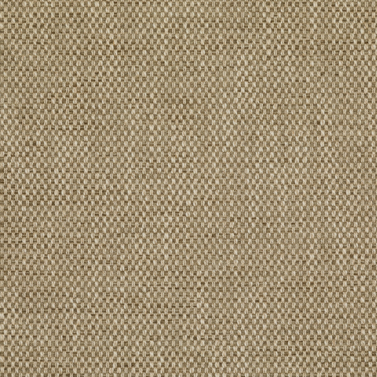 Carlton-Hemp
