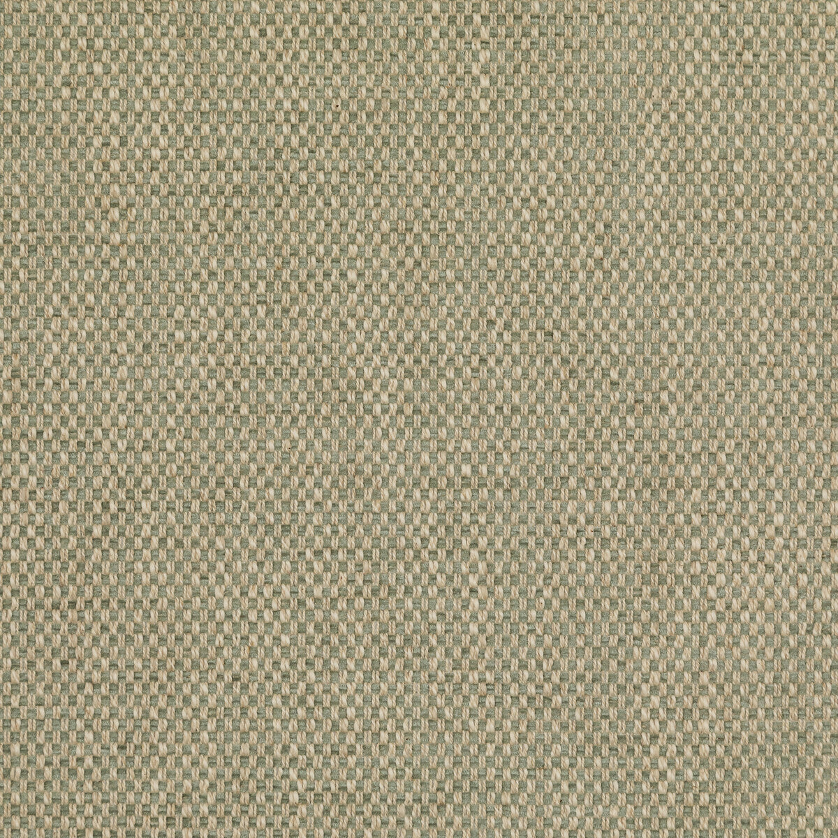 Carlton-Celadon