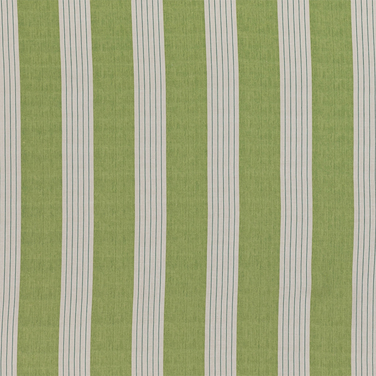 Lambert Stripe-Green