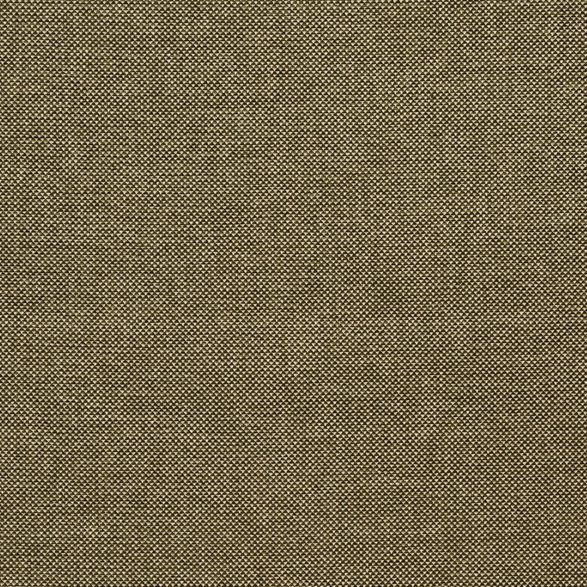 Webster-Moss