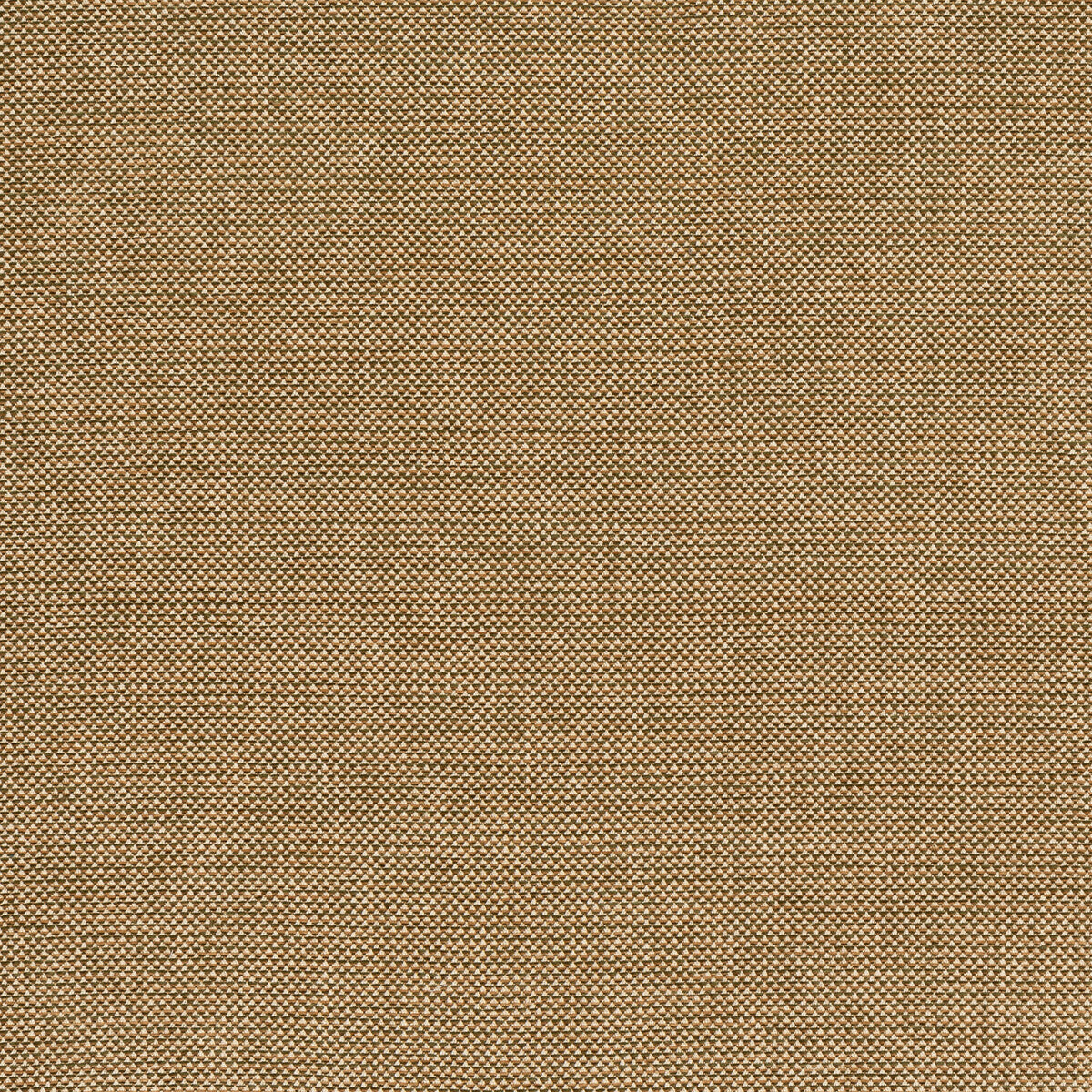 Webster-Gold