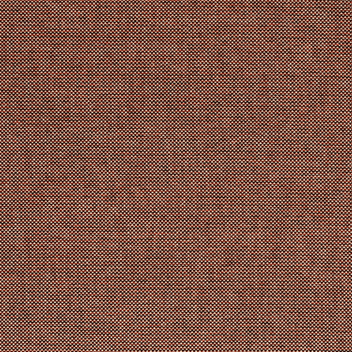 Webster-Russet