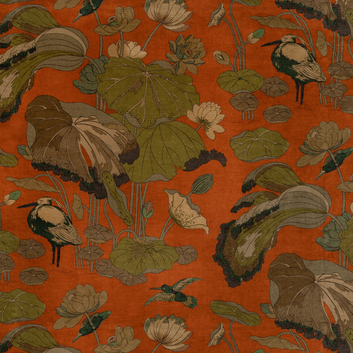 Nympheus Velvet-Spice