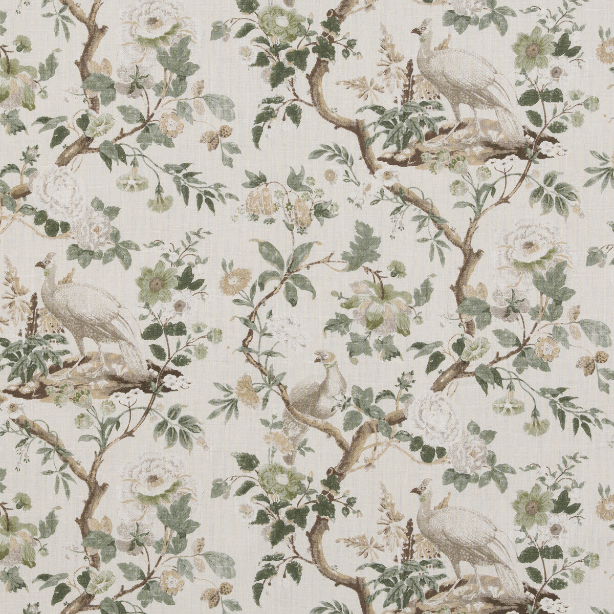 Broughton Rose-Green