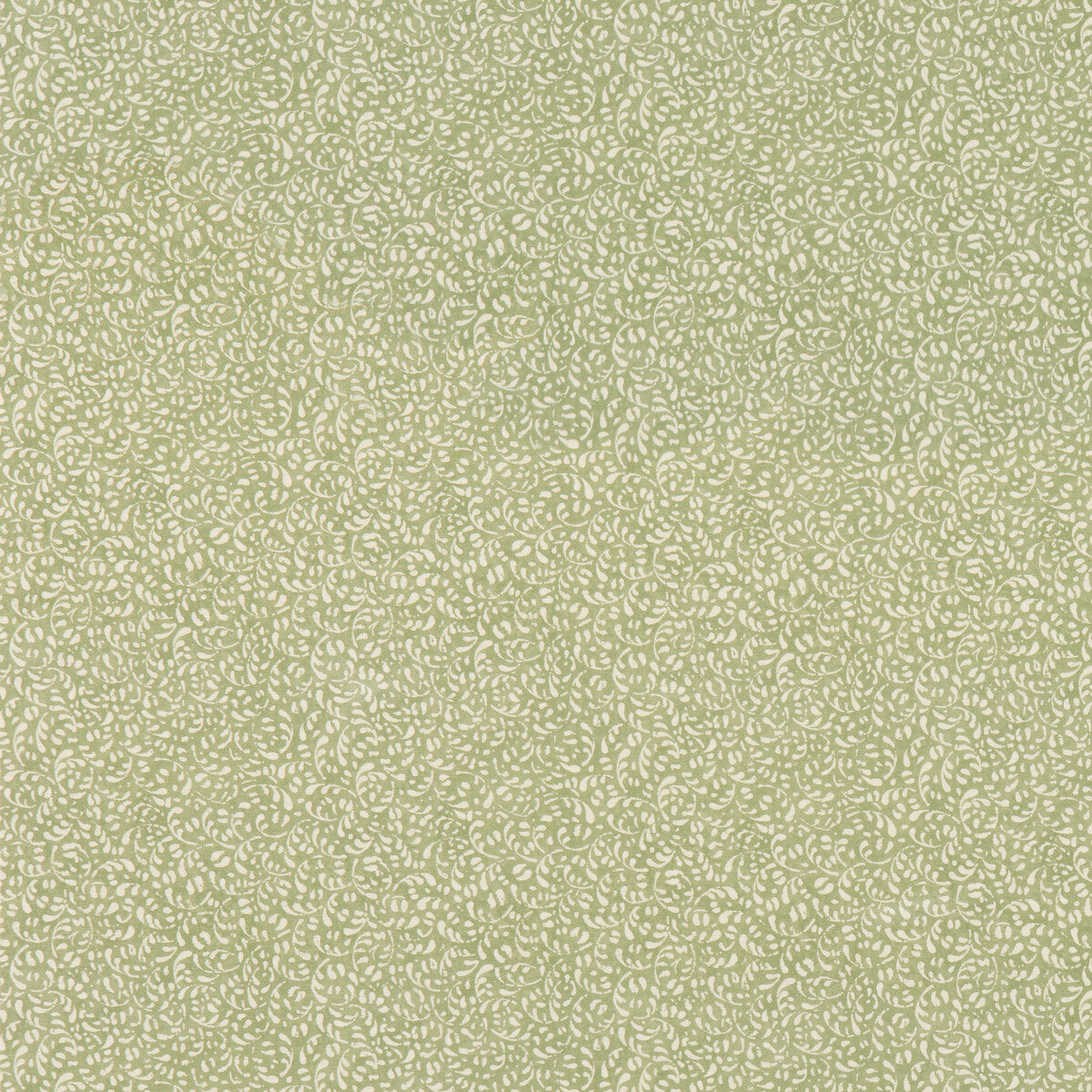 Tansy-Green