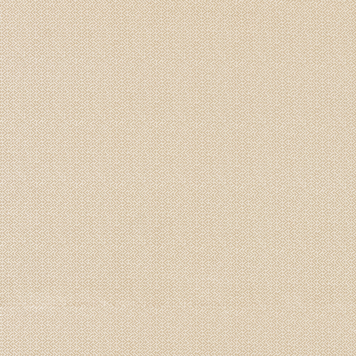 Tilly-Parchment