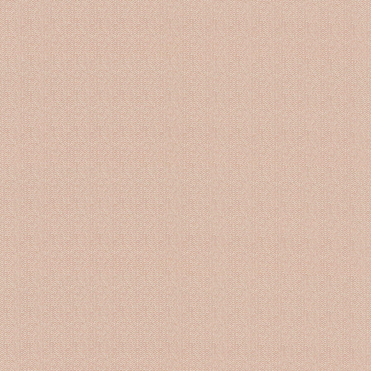 Tilly-Blush